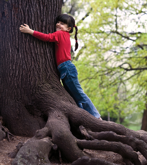 homage trees