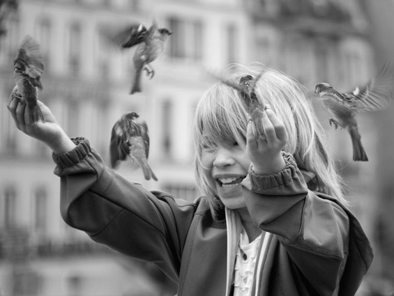 Sparrows_Paris_Ulrike_Morlock