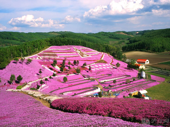 Hokkaido-Japan