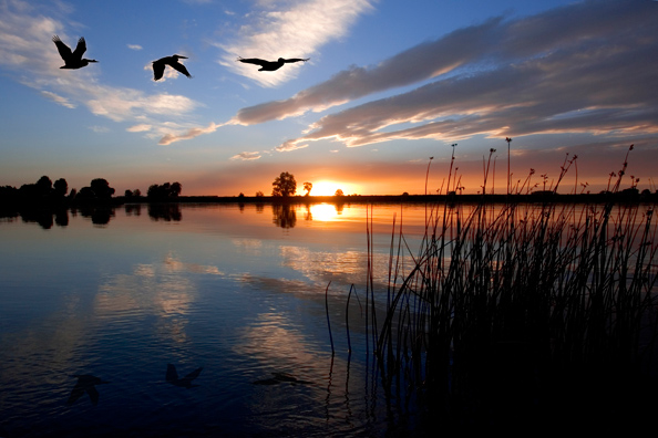 A ray of sun at dawn
