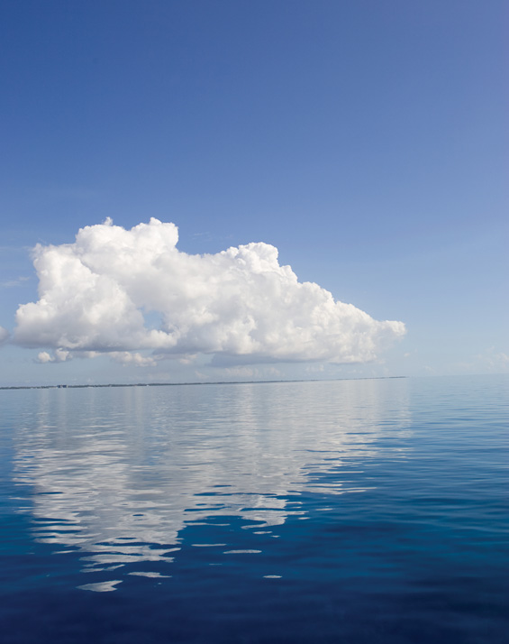 Life is a voyage
