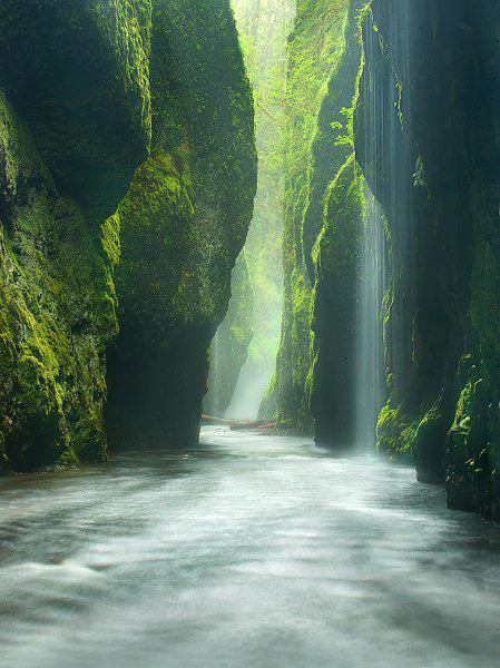 Oneonta-Gorge-Oregon-Darshan-Kaloliya