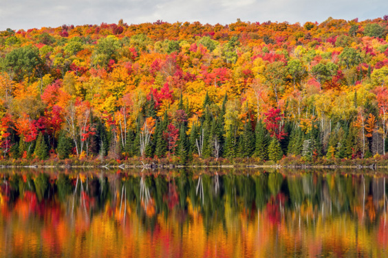 Indian summer